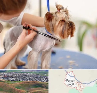 آرایشگاه سگ در فارسان