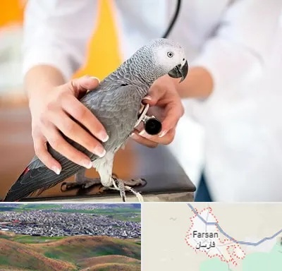 دامپزشکی پرندگان در فارسان