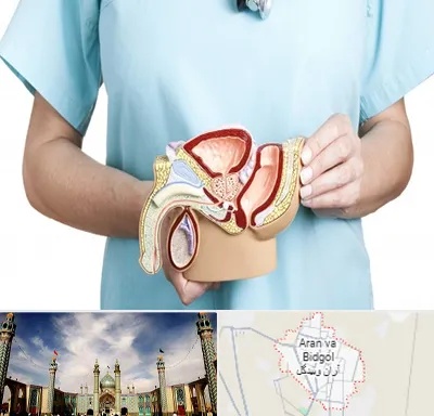 فوق تخصص دستگاه تناسلی مردان در آران و بیدگل