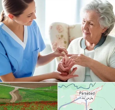 شرکت پرستاری در پارس آباد