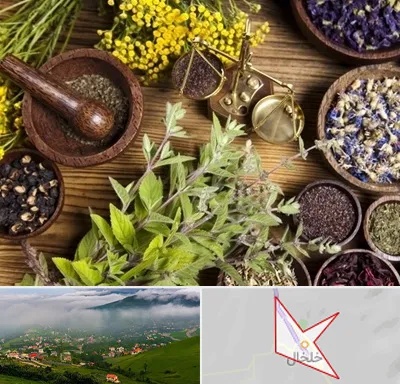 دکتر طب سنتی خانم در خلخال