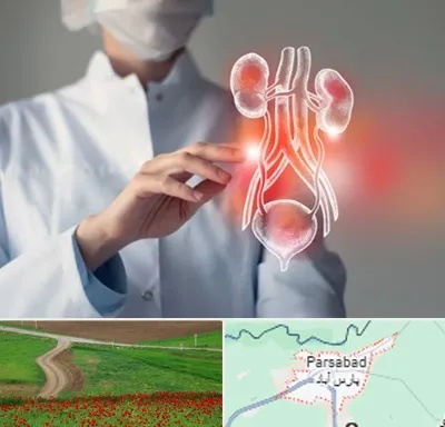 کلینیک اورولوژی در پارس آباد