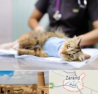 جراح حیوانات در زرند