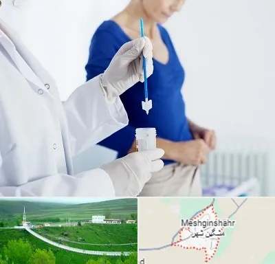 آزمایشگاه پاپ اسمیر در مشگین شهر