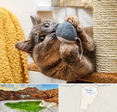 خرید اسباب بازی گربه در گرمسار