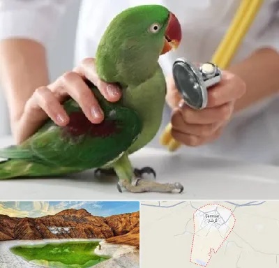 درمانگاه شبانه روزی پرندگان در گرمسار