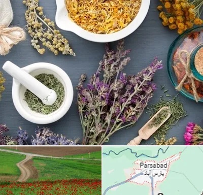 سم زدایی در پارس آباد