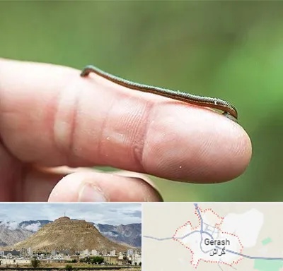 مرکز زالو درمانی در گراش