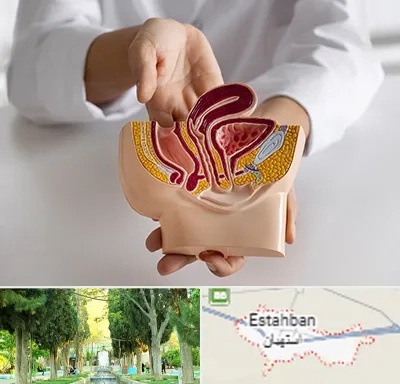 دکتر دستگاه تناسلی مردان در استهبان