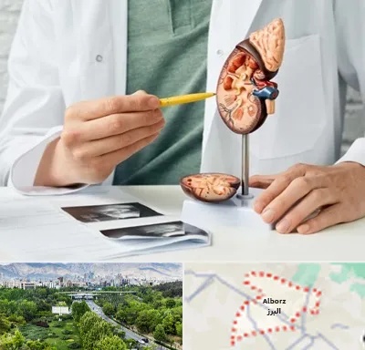 دکتر اورولوژیست در البرز