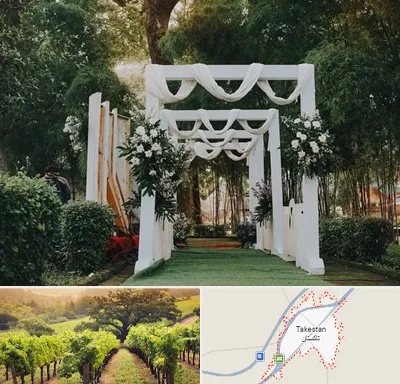 تشریفات عروسی در تاکستان