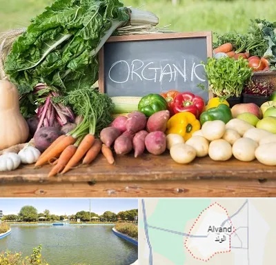 فروشگاه محصولات ارگانیک در الوند