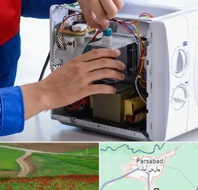تعمیر مایکروفر در پارس آباد