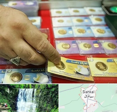 سکه فروشی در سیاهکل