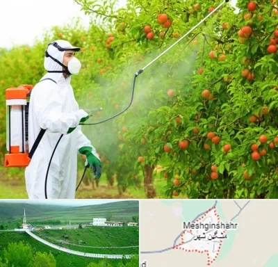 سمپاشی درختان در مشگین شهر