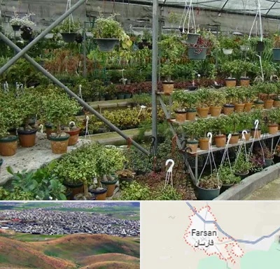 بازار گل و گیاه در فارسان