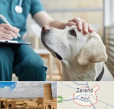 کلینیک دامپزشکی در زرند