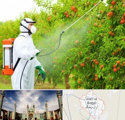 سمپاشی درختان در آران و بیدگل