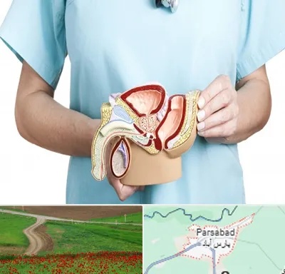فوق تخصص دستگاه تناسلی مردان در پارس آباد