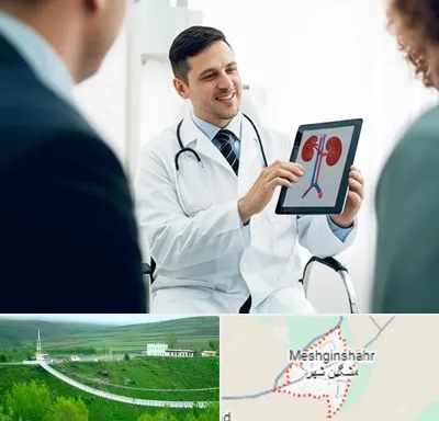 دکتر فوق تخصص سنگ کلیه در مشگین شهر