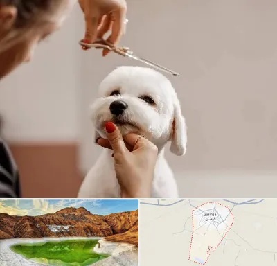 آرایشگاه پت در گرمسار