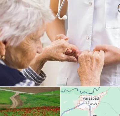 دکتر پارکینسون در پارس آباد