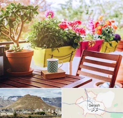 گیاه آپارتمانی در گراش