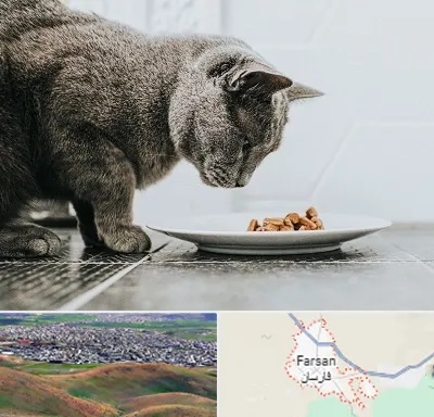 خرید غذای گربه در فارسان