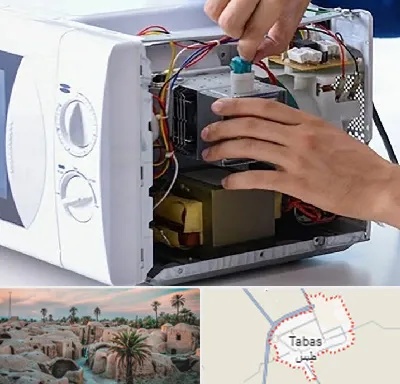 قطعات مایکروفر در طبس
