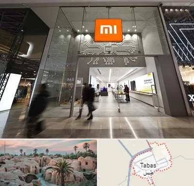 نمایندگی گوشی شیائومی در طبس