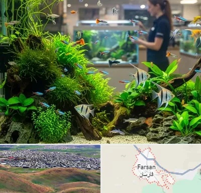 اکواریوم و آبزیان در فارسان