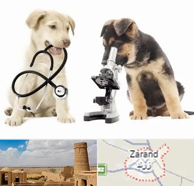 آزمایشگاه دامپزشکی در زرند