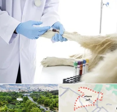 آزمایشگاه حیوانات در البرز
