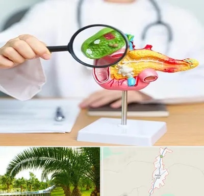 جراح سرطان پانکراس در کهنوج