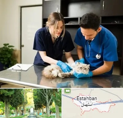 دامپزشکی سیار در استهبان