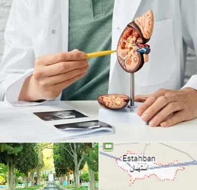 دکتر اورولوژیست در استهبان