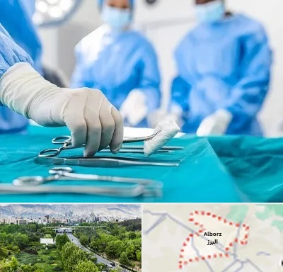 مونس پلاستی در البرز