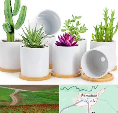 فروش گلدان سرامیکی در پارس آباد