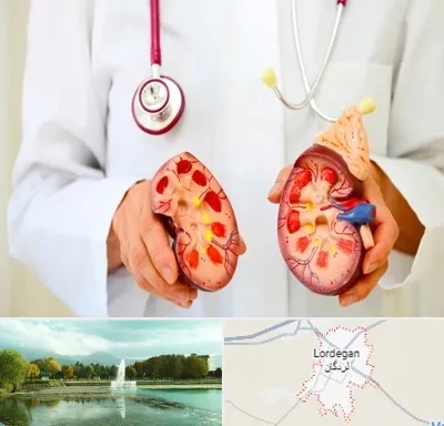دکتر سنگ کلیه در لردگان