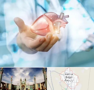 دکتر الکتروفیزیولوژی بالینی قلب در آران و بیدگل