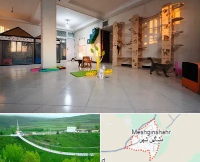 پانسیون گربه در مشگین شهر
