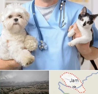 بیمارستان شبانه روزی دامپزشکی در جم