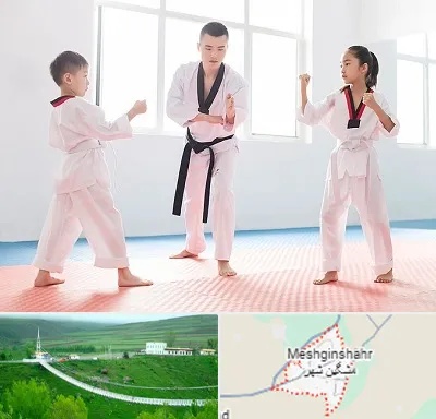 مربی رزمی در مشگین شهر