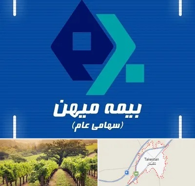 بیمه میهن در تاکستان