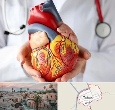دکتر متخصص قلب و عروق در طبس