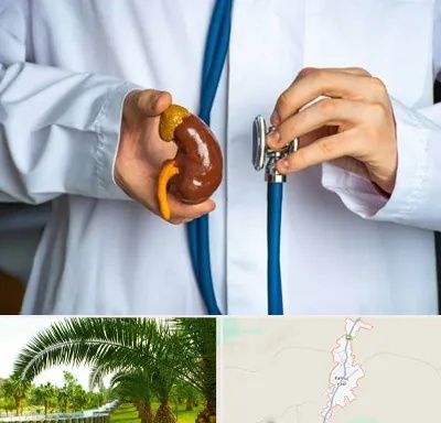 دکتر سرطان کلیه در کهنوج