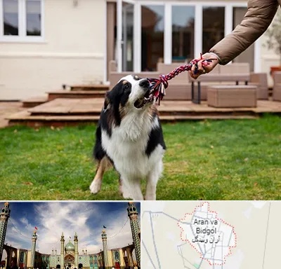پانسیون سگ در آران و بیدگل