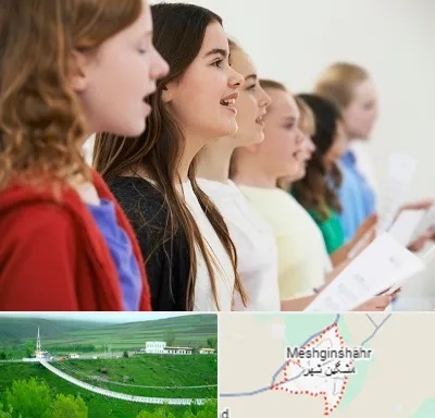 آموزشگاه صدا سازی در مشگین شهر