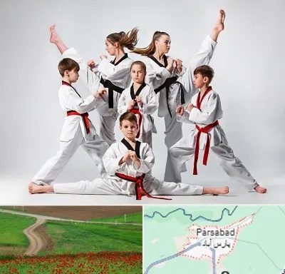 باشگاه کاراته در پارس آباد