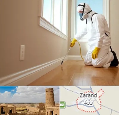 سمپاشی منازل در زرند